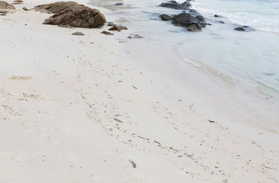 High angle view of beach