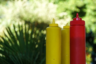 Close-up of yellow bell