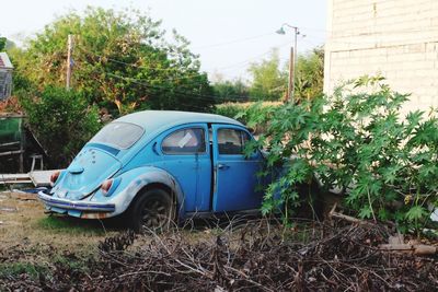 Old car parked in lawn