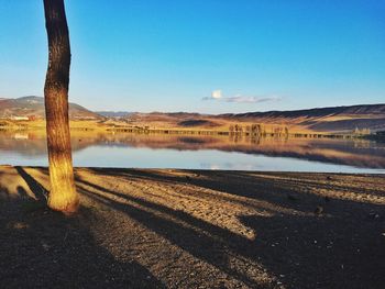 Reflection of trees in calm lake