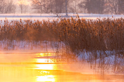 Scenic view of lake during winter