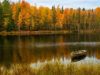 Scenic view of lake in forest during autumn