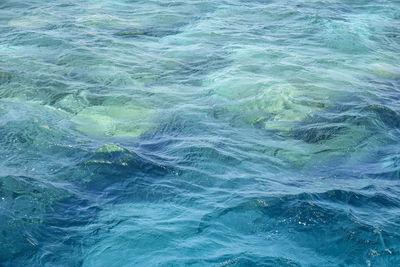 Abstract background. corals shine through water. waves of blue sea water. copy space.