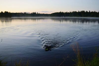 Scenic view of lake at sunset