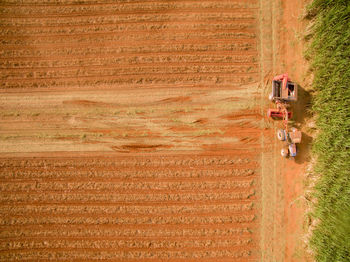 Hay bales on field