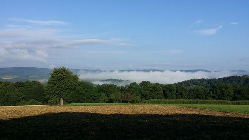 Scenic view of landscape against cloudy sky