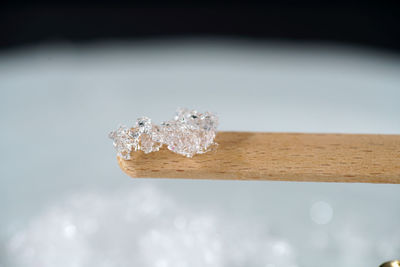 Close-up of frozen ice on wood