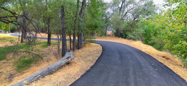 Road amidst trees in forest