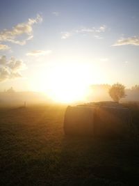 Scenic view of field against sky during sunset