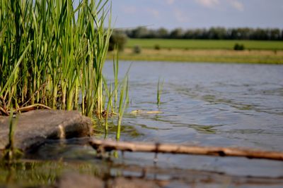 Scenic view of lake against sky