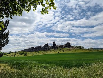 Scenic view of field against sky