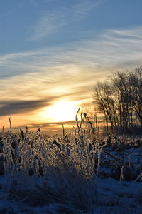 Scenic view of frozen field against sky during sunset