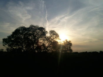 Silhouette trees against sky during sunset