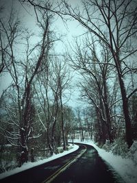 Empty road passing through bare trees