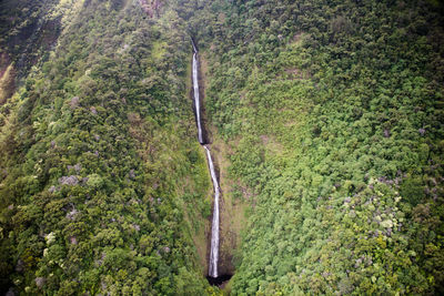 Aerial wide shot of double waterfall in remote hawaii, with two plunge pools set in a verdant cliff.