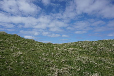 Scenic view of landscape against cloudy sky