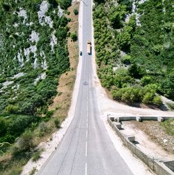 Road amidst trees in city