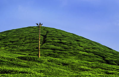 Low angle view of green landscape against clear sky