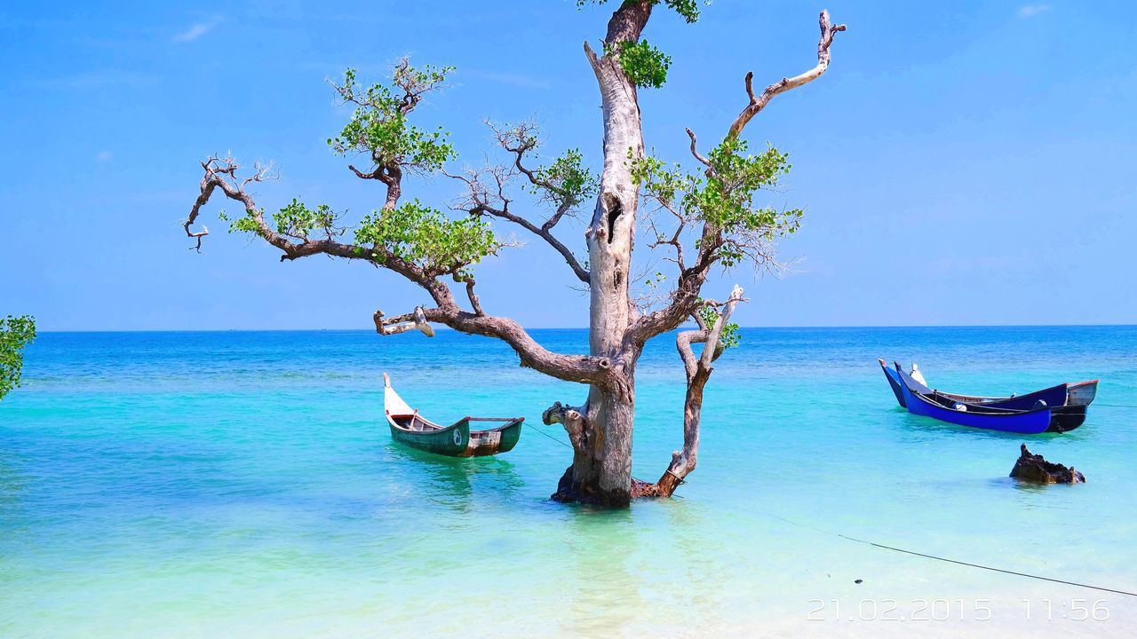 horizon over water, sea, water, nautical vessel, blue, tranquility, tranquil scene, boat, beauty in nature, scenics, nature, sky, transportation, beach, mode of transport, clear sky, tree, idyllic, day, shore