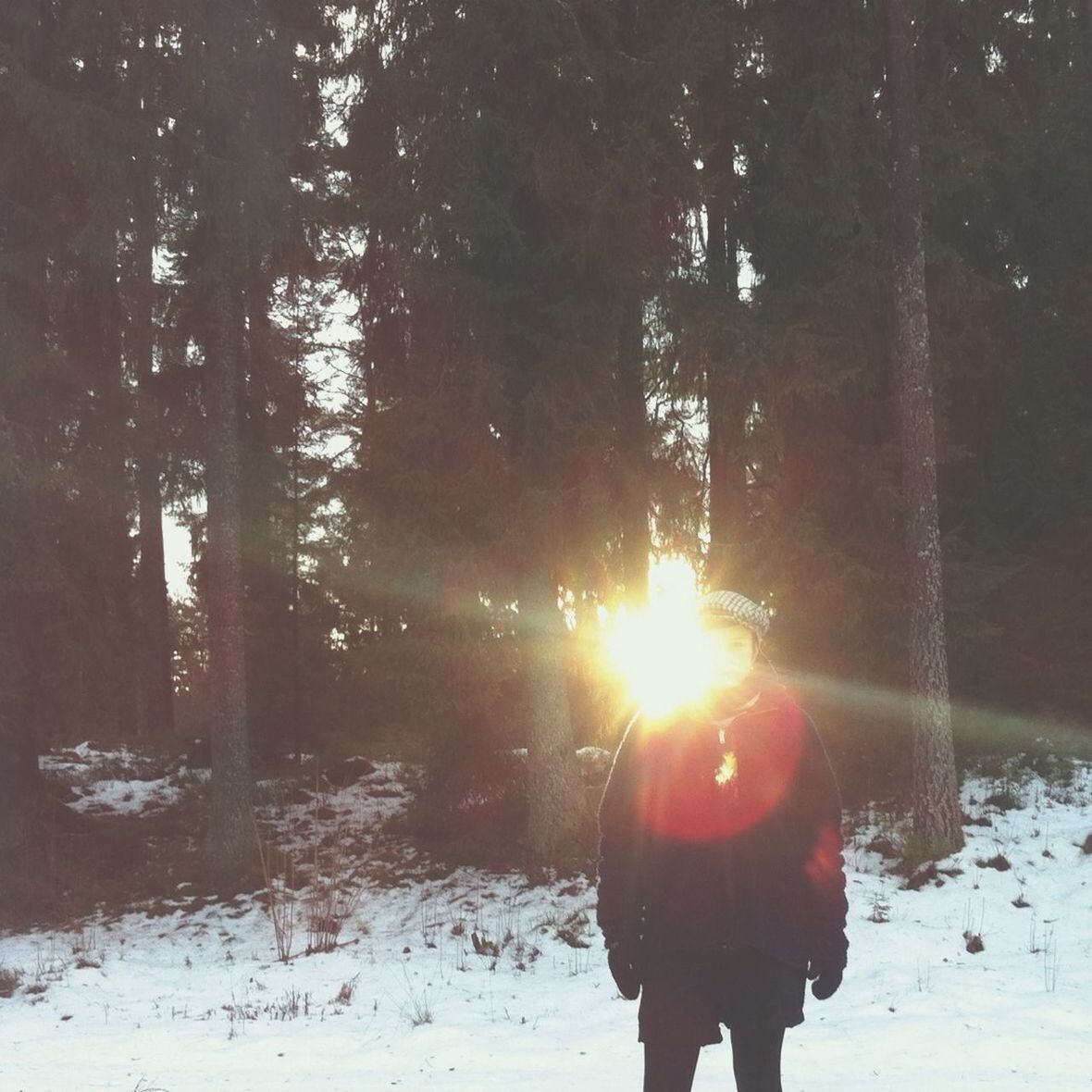 winter, snow, cold temperature, season, lifestyles, standing, leisure activity, rear view, weather, walking, sun, warm clothing, tree, field, sunlight, full length, nature, lens flare