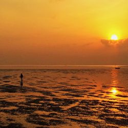 Scenic view of sea at sunset