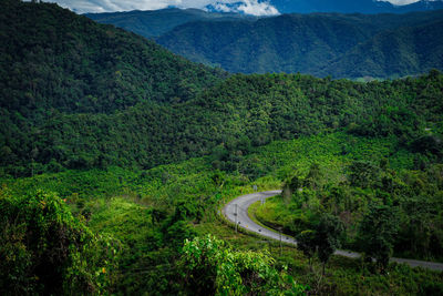 High angle view of road amidst trees in forest