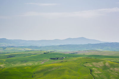 Scenic view of agricultural field against sky