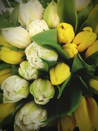 Close-up of yellow flowering plant for sale in market
