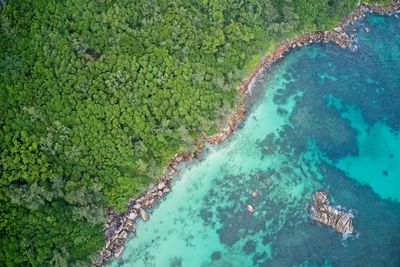 Aerial view of beach and forest forming patterns in nature background praslin, seychelles.