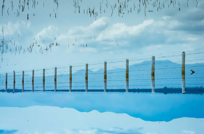 Birds flying over sea against sky