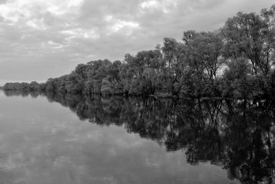 Reflection of trees in lake against sky