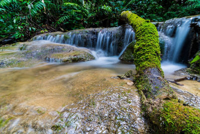 Scenic view of waterfall in forest