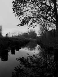 Scenic view of lake by trees against sky