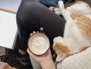 Close-up of a cat drinking coffee