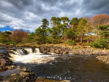 Scenic view of river flowing in forest against sky