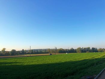 Scenic view of field against clear sky