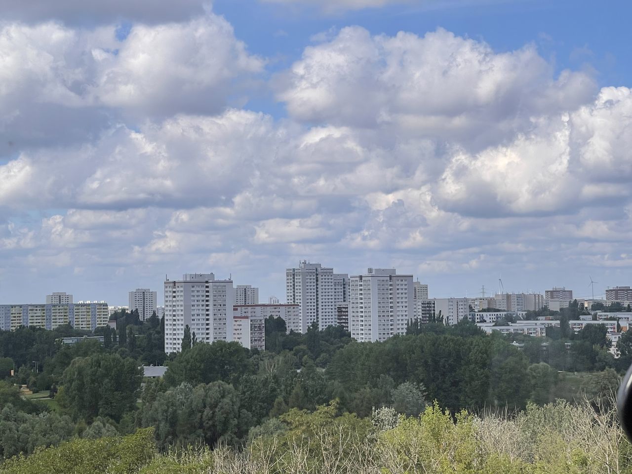 TREES AND BUILDINGS AGAINST SKY