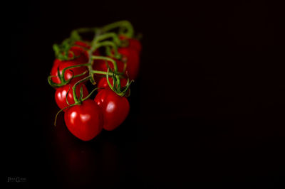 Close-up of red bell pepper against black background