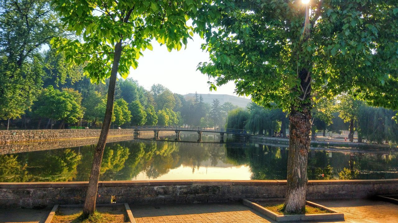 BRIDGE OVER RIVER AGAINST TREES