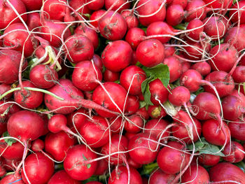 Full frame shot of tomatoes