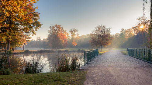 Scenic view of stromovka town park in prague. calm early morning scenery in autumn 