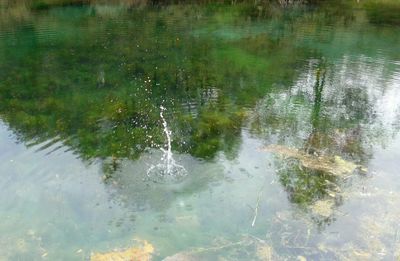 High angle view of swimming in lake