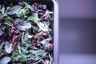Directly above shot of plants in container