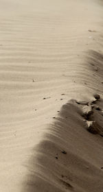 Scenic view of sandy beach