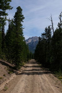 Idaho mountain road