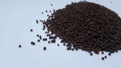 High angle view of roasted coffee beans on white background