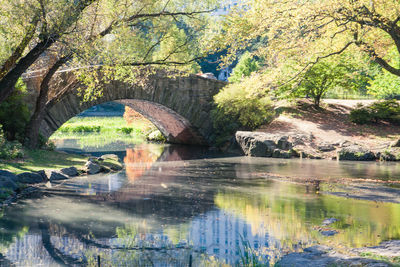 Reflection of trees in river