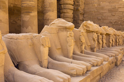 Fragment of the alley of the sphinxes in the karnak temple, luxor, egypt.