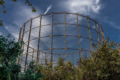 Low angle view of plants against sky