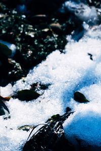 High angle view of snow